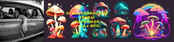 гашик Алзамай