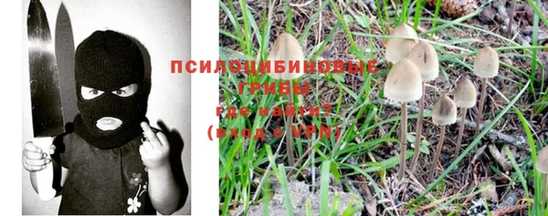 гашик Алзамай