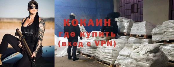 гашик Алзамай