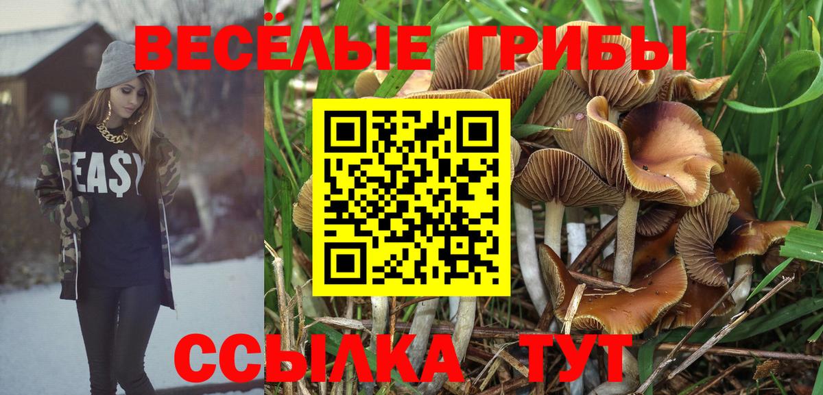 МЕФ Южно-Сахалинск